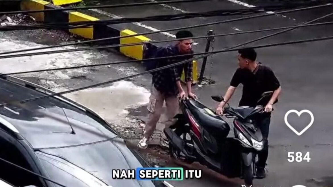 ikan lele