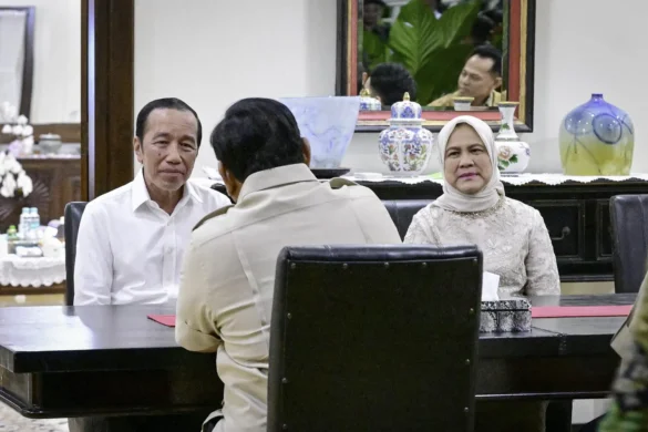Jokowi Jadi Dewan Penasihat Global Bloomberg New Economy
